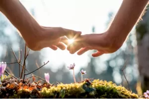Dos manos entrelazándose en la naturaleza como símbolo de equilibrio bio-psico-emocional