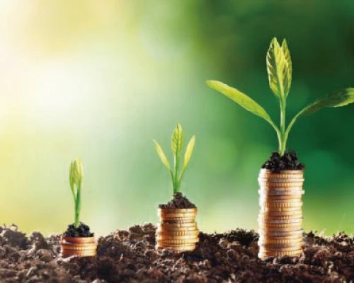 Plantas verdes que contribuyen a un entorno ambiental.