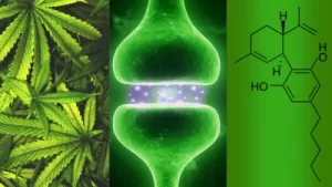 Representación molecular de un cannabinoides sintético