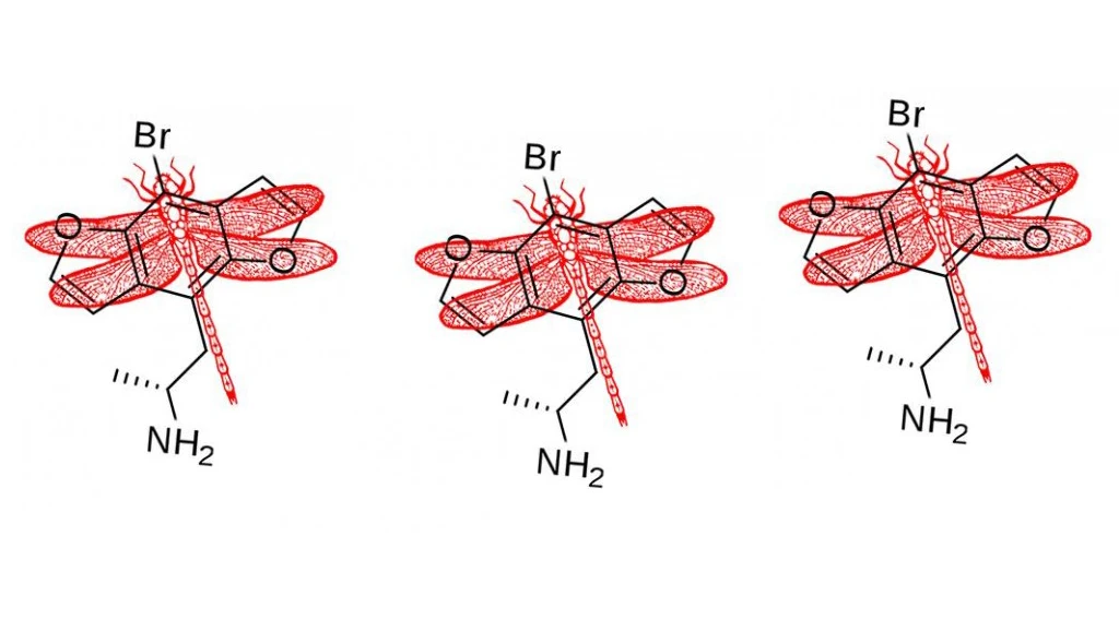 Molécula química de Bromo Dragonfly, una fenetilamina sintética detectada en pruebas toxicológicas de Prevenco.